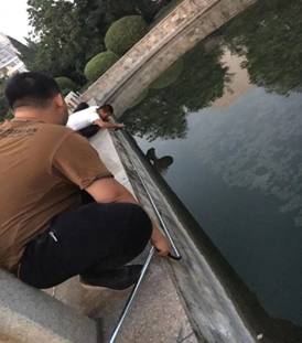 喷泉3.jpg